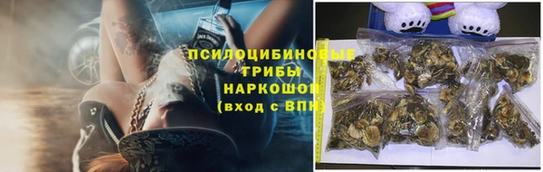 соль ск Алзамай