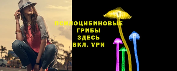 эйфоретик Абаза