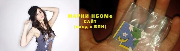 мет Алексин