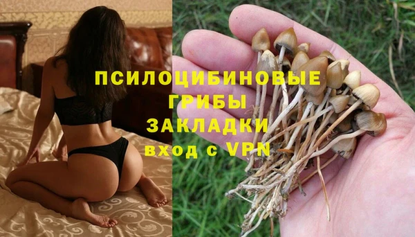 эйфоретик Абаза