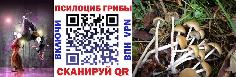 Псилоцибиновые грибы ЛСД цена наркотик Саянск